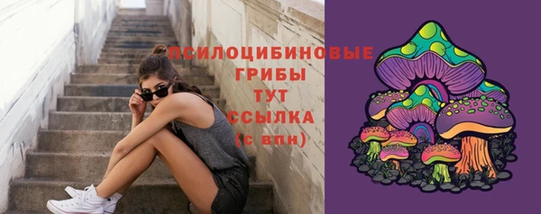 трава Ельня