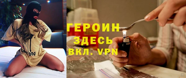 трава Ельня