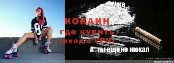 трава Ельня