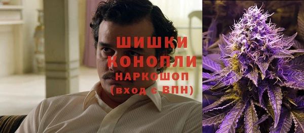хмурый Дмитров