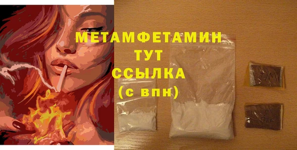 трава Ельня